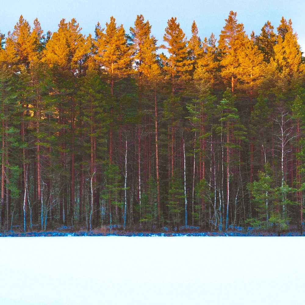 Meet your Posher, Catherina